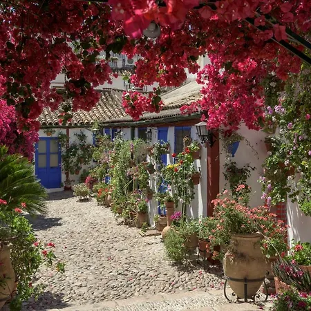 Casa Luz