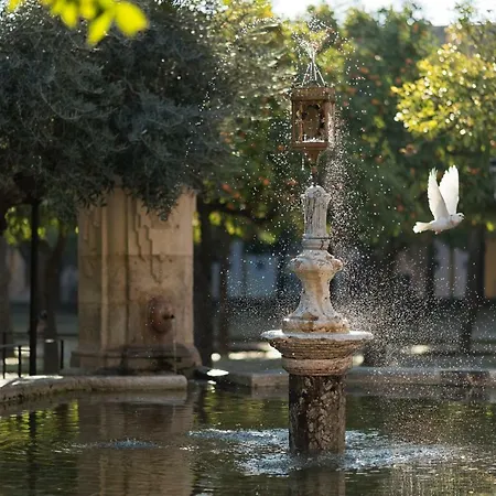 Casa Luz 아파트 코르도바